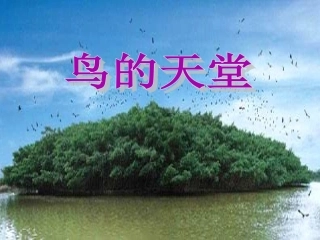 3《鸟的天堂》PPT课件 (4)