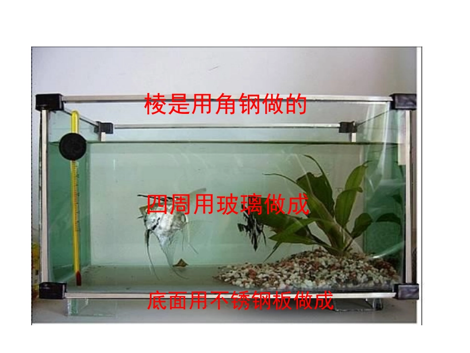 长方体和正方体整理复习_第3页