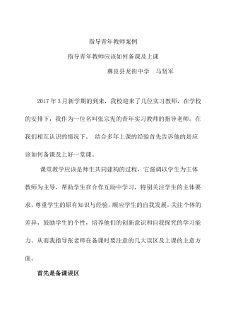指导青年教师案例