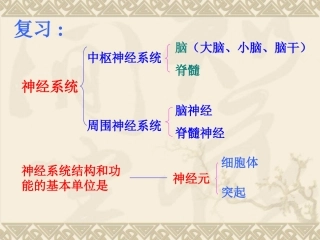魏文华神经调节的基本方式