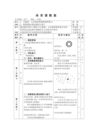 小篮球、小足球各种熟悉球性练习