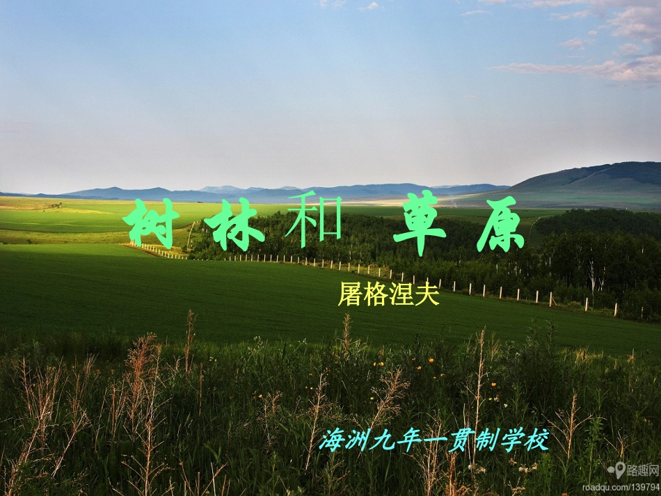 树林和草原712_第1页