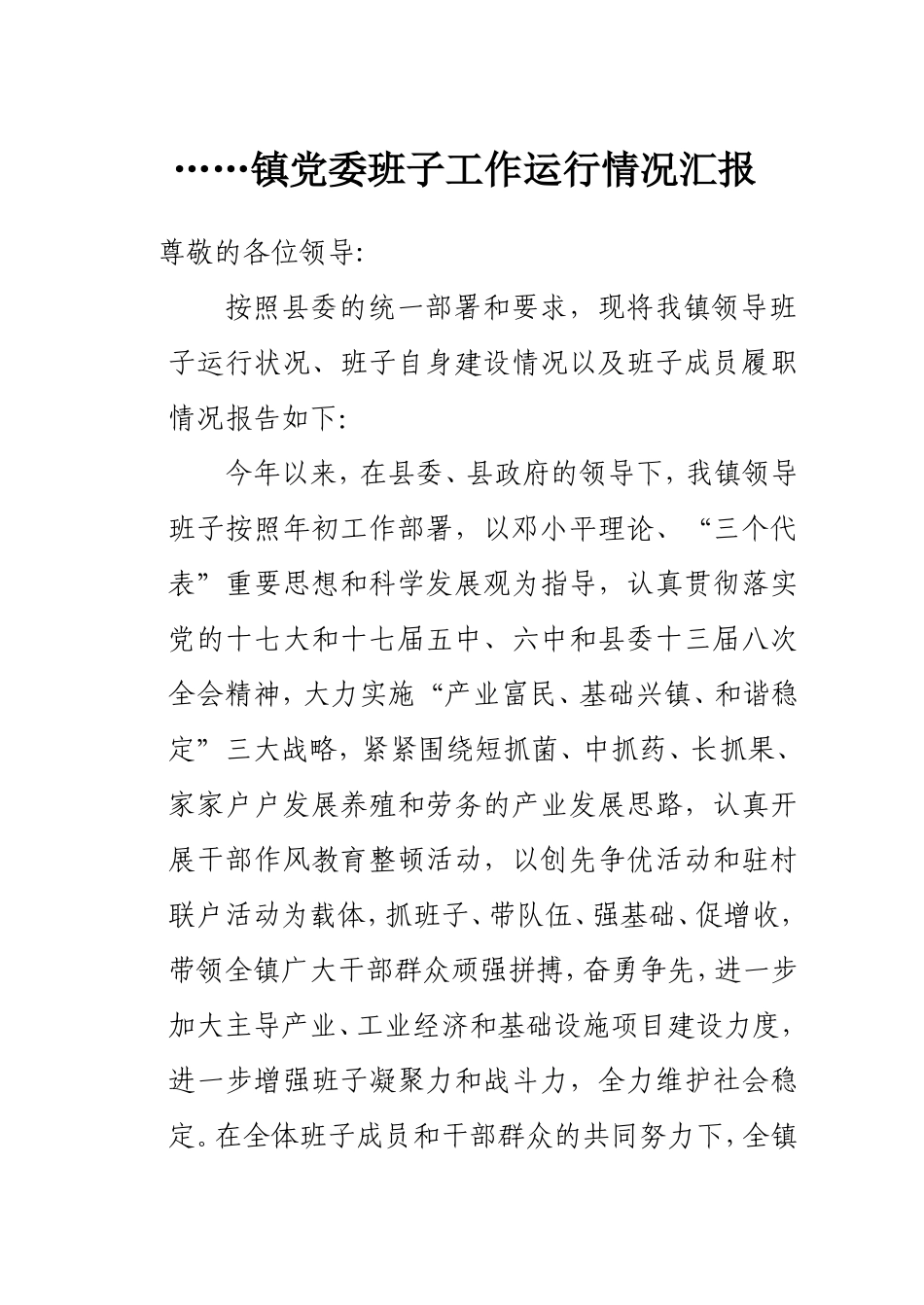 镇党委班子工作运行情况汇报_第1页