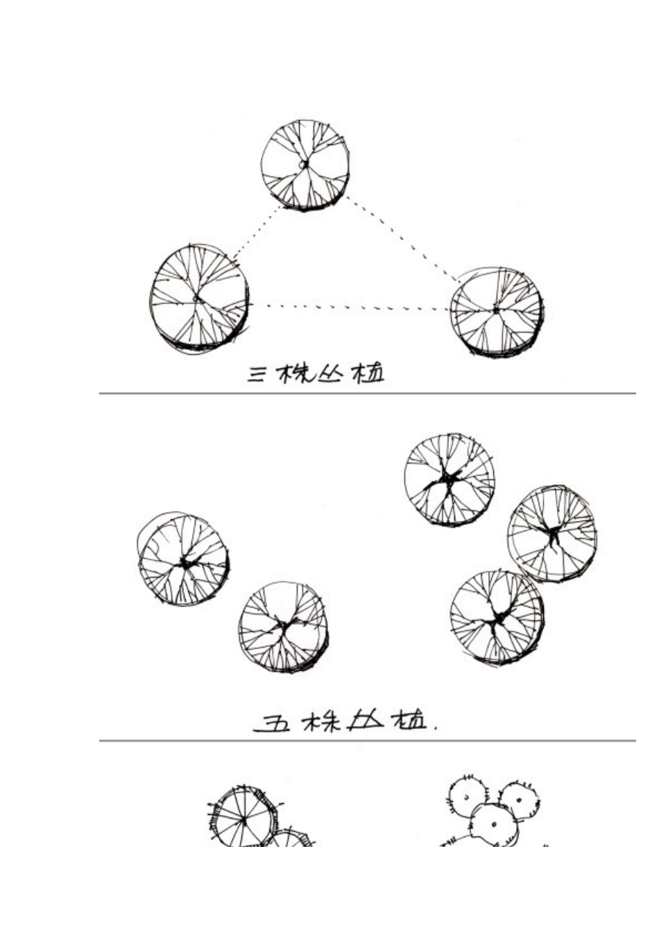 植物种植设计的一般原则_第3页