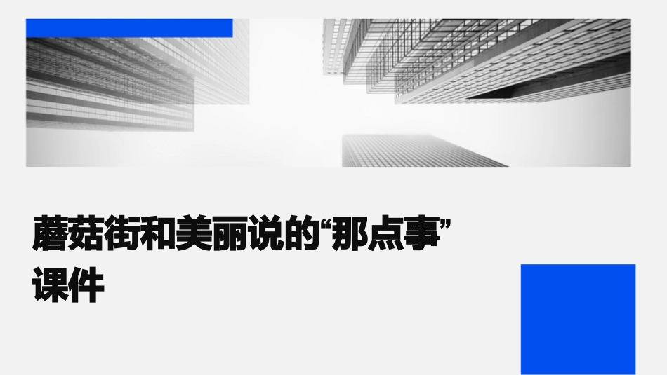 蘑菇街和美丽说的“那点事”课件_第1页