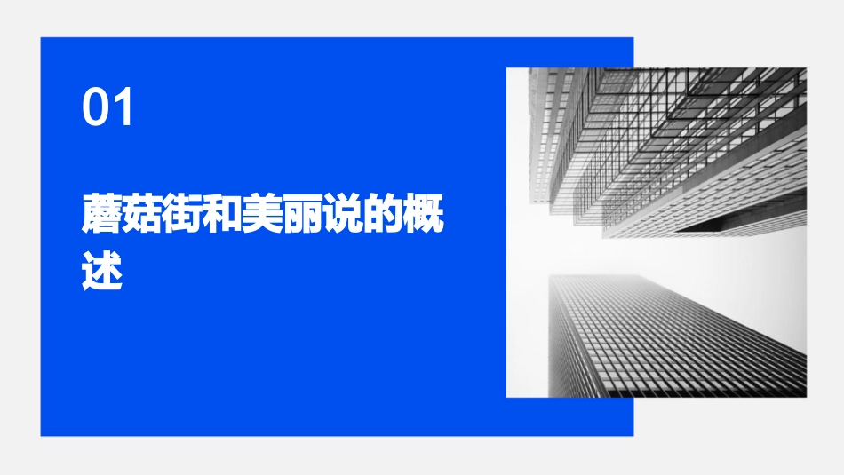 蘑菇街和美丽说的“那点事”课件_第3页