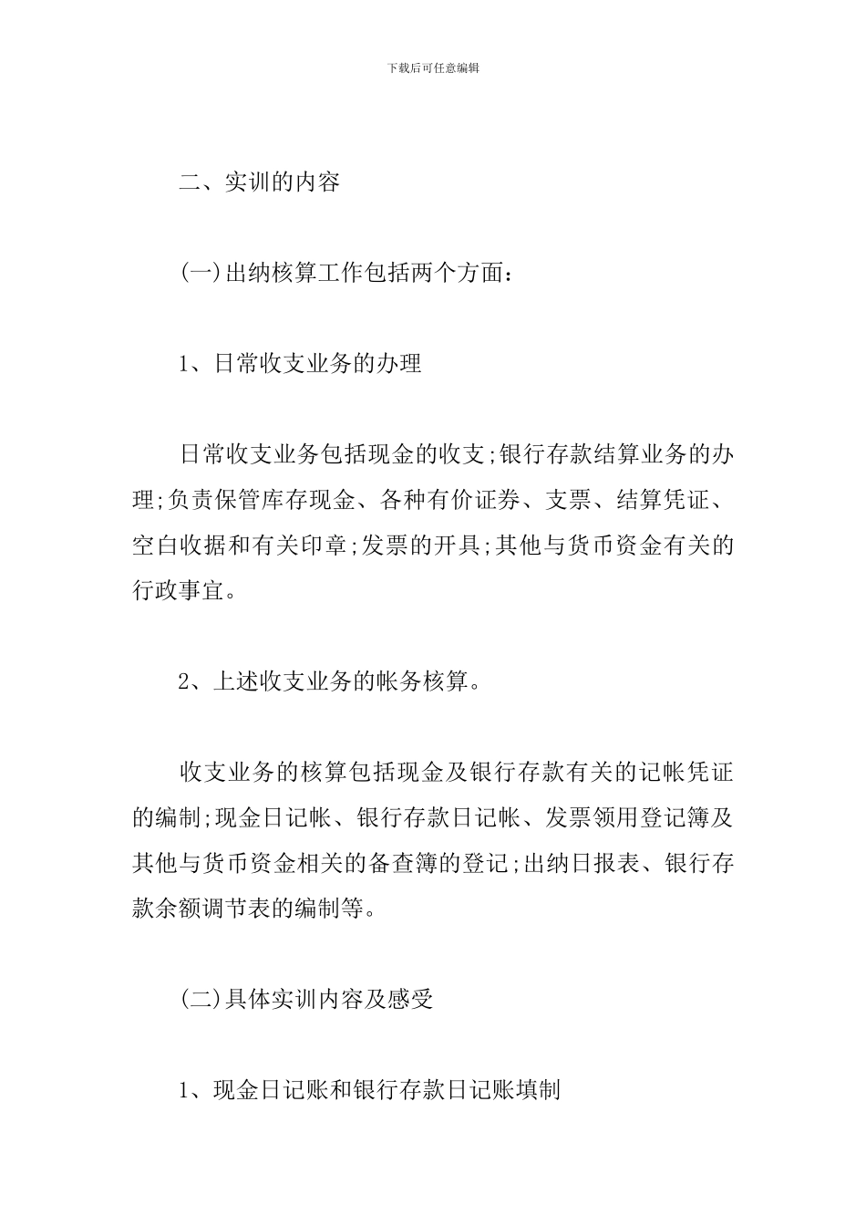 出纳实训报告总结_第2页
