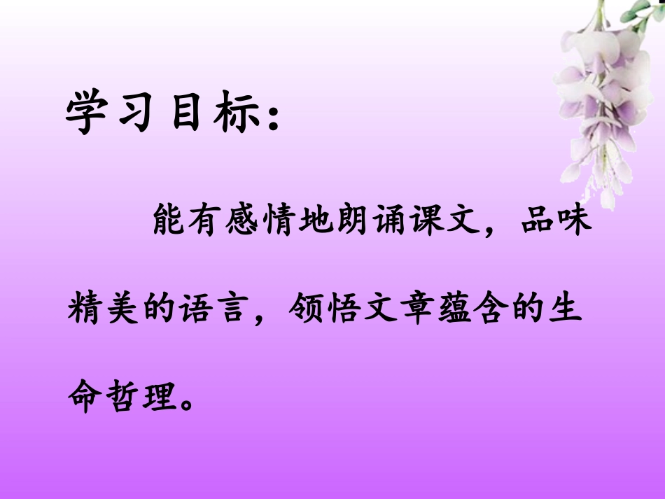 紫藤萝瀑布——定稿（新）_第2页