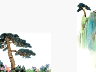 小松树（杨玲玲）