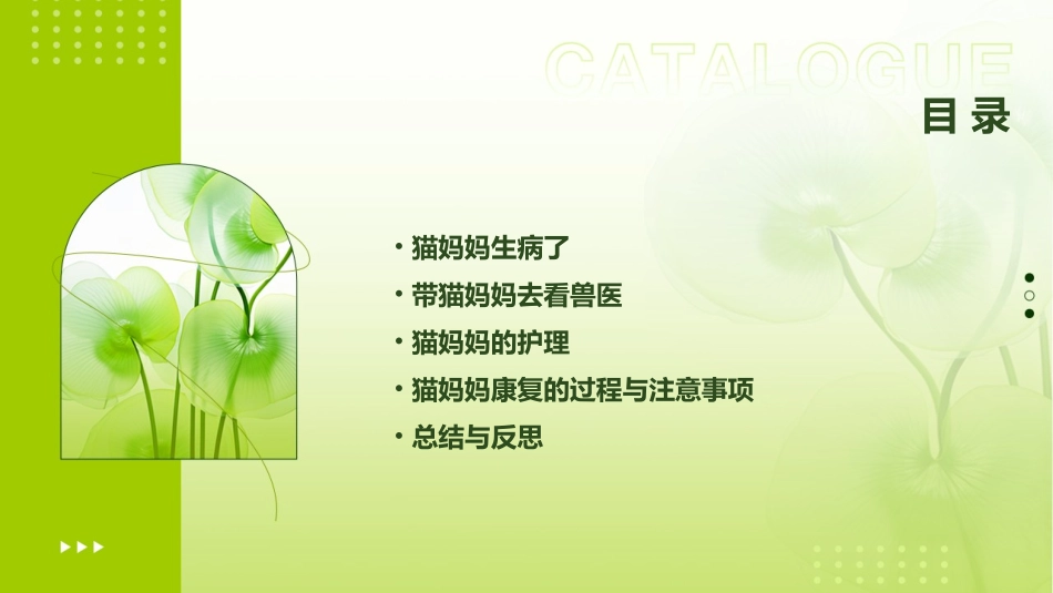猫妈妈生病了课件_第2页