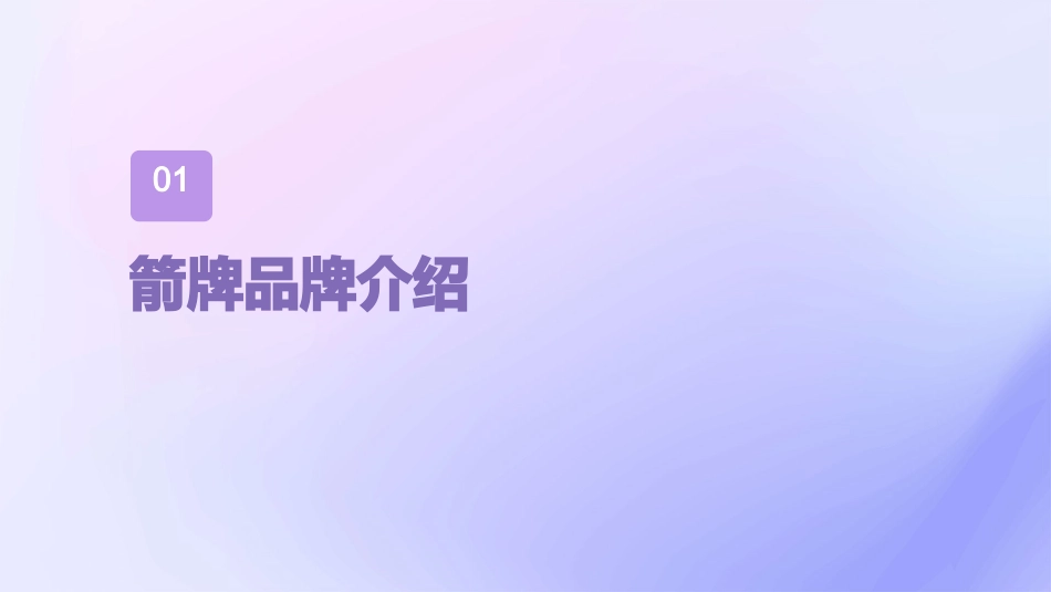 箭牌策划方案课件_第3页