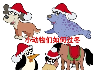 小动物们如何过冬