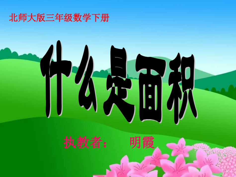 《什么是面积》PPT课件_第2页