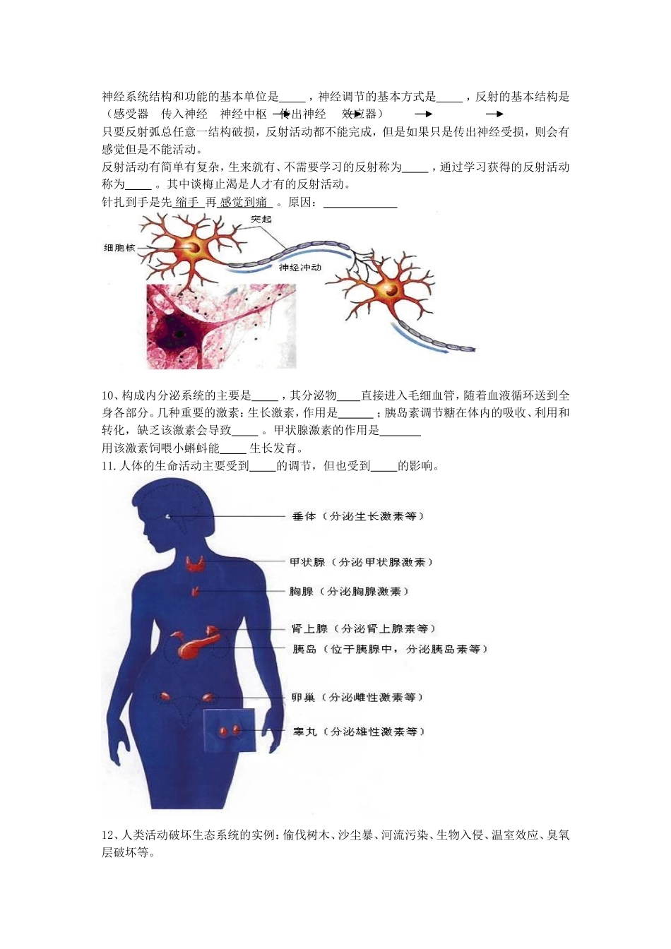 人体生命活动调节的生物知识点_第2页
