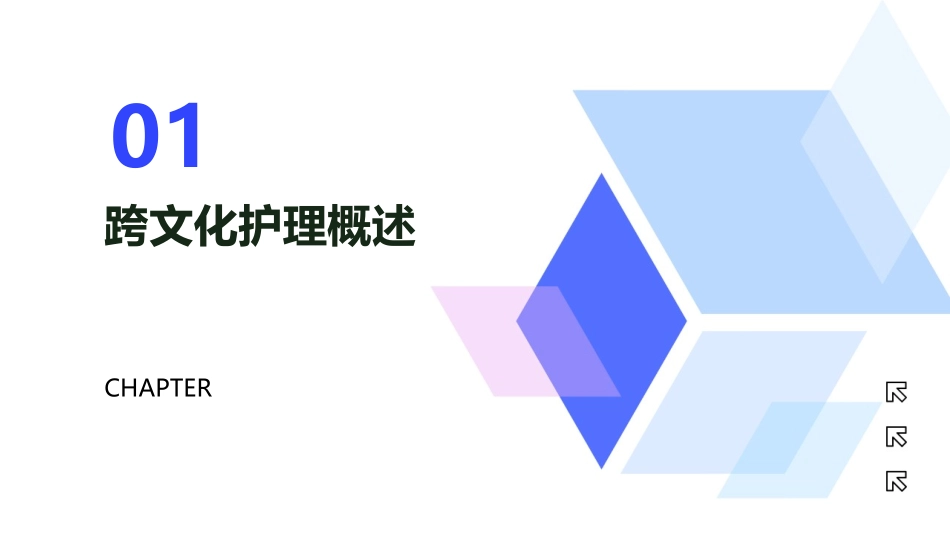 跨文化护理与多元文化患者的沟通_第3页