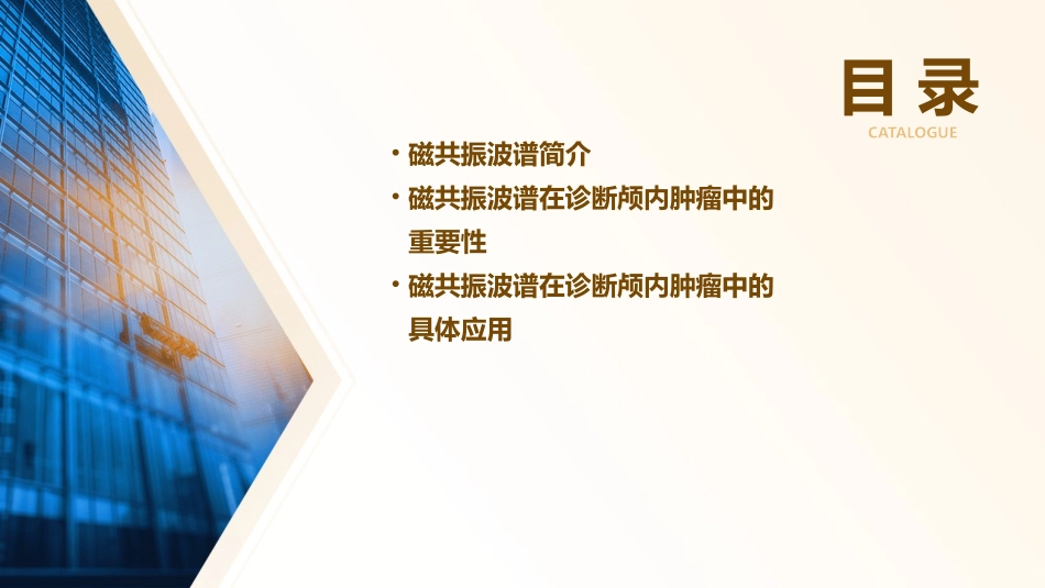 磁共振波谱在诊断颅内肿瘤中的应用通用课件_第2页