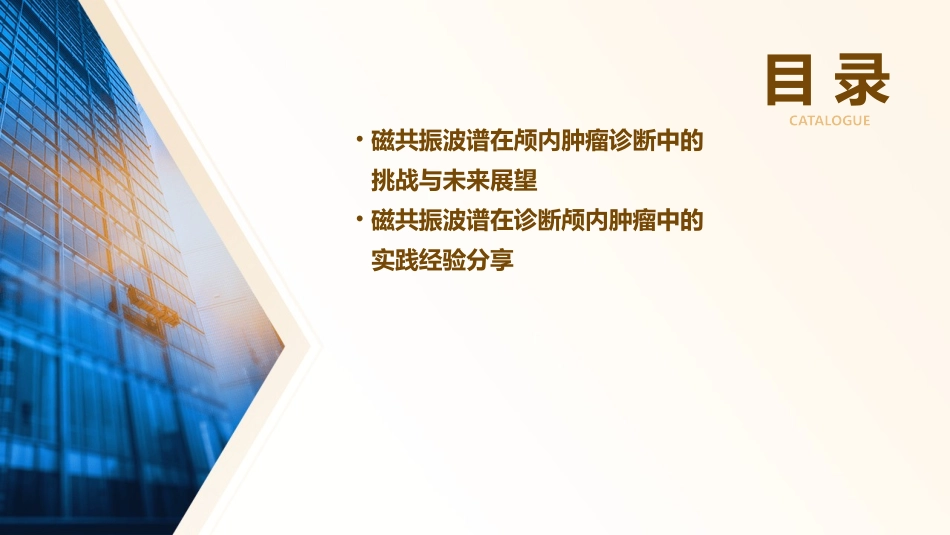 磁共振波谱在诊断颅内肿瘤中的应用通用课件_第3页