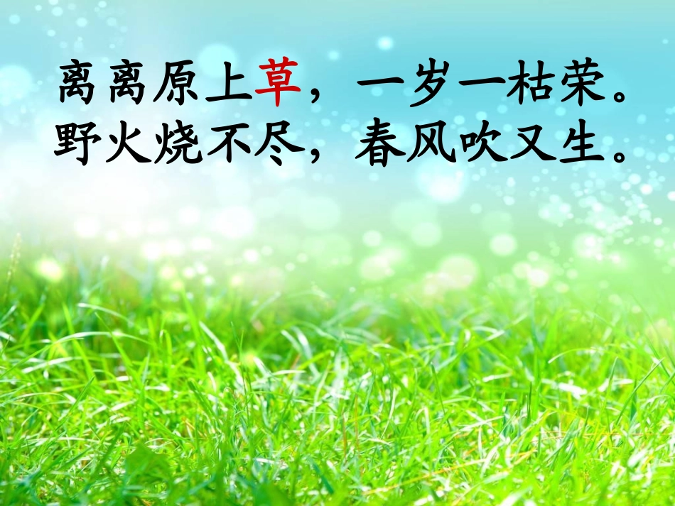 修改后的小草_第3页