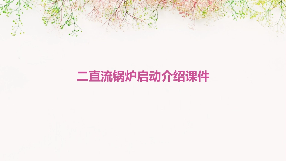 二直流锅炉启动介绍课件_第1页