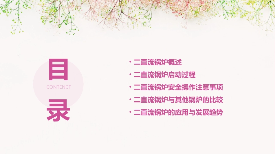 二直流锅炉启动介绍课件_第2页