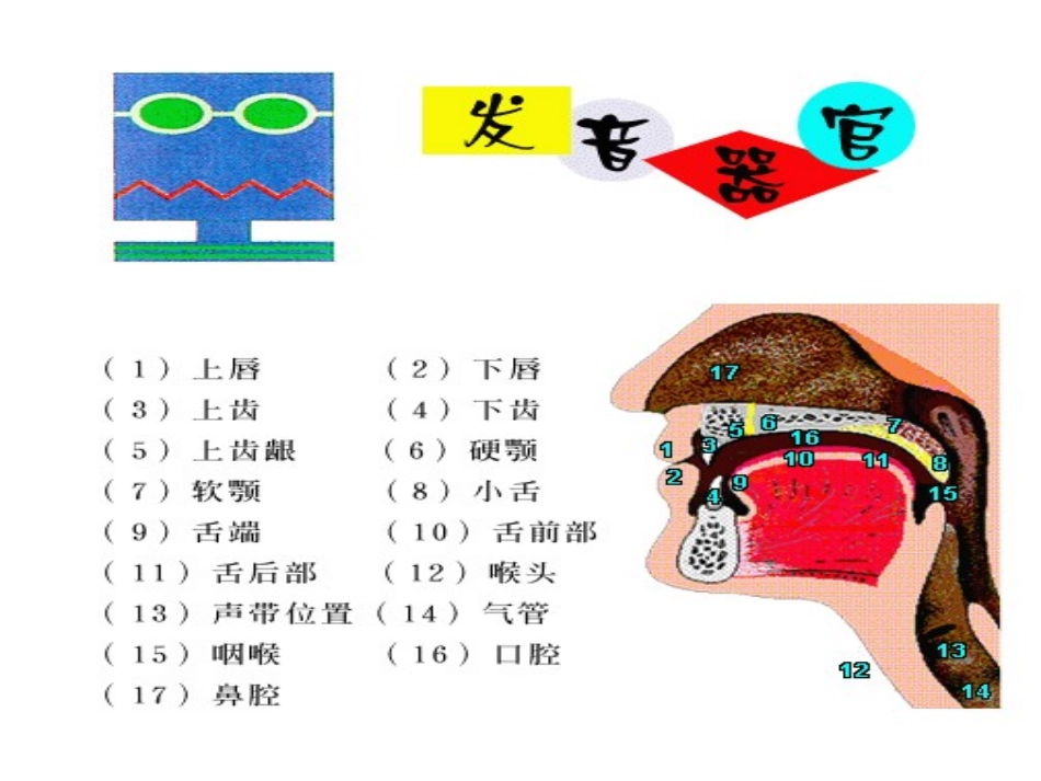 发音教学---48个国际音标 (3)_第3页