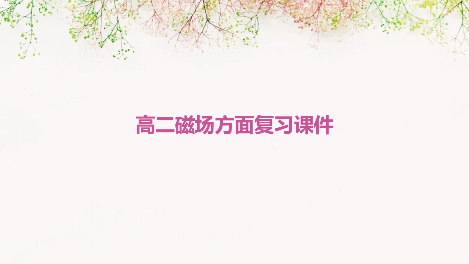 高二磁场方面复习课件_第1页