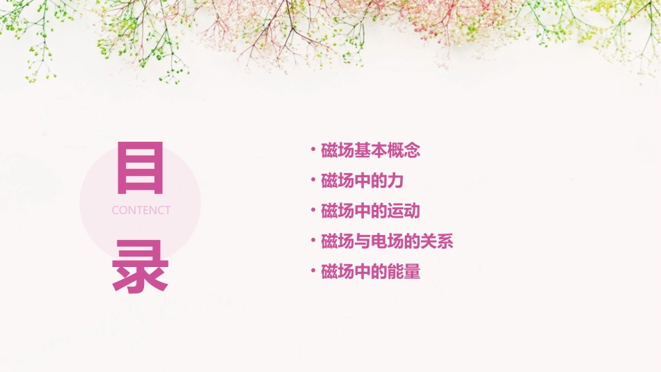 高二磁场方面复习课件_第2页