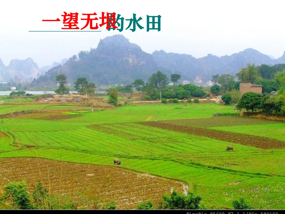 四下语文园地六的作文(完美版)[1]_第2页