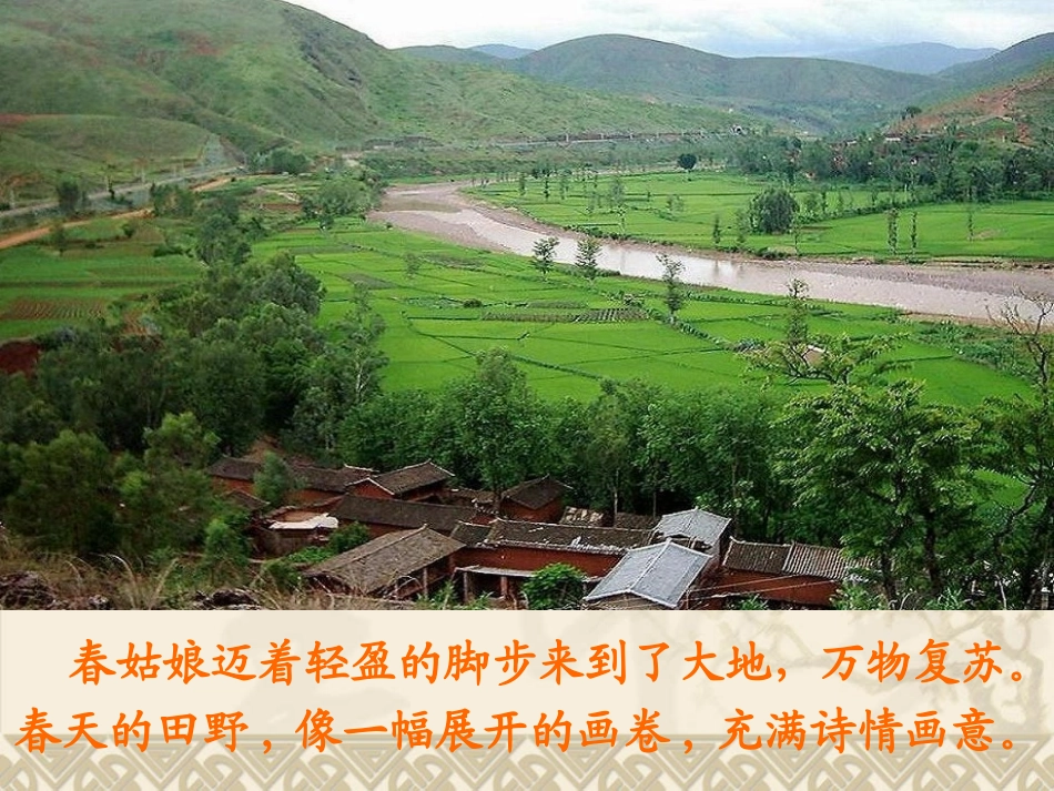 四下语文园地六的作文(完美版)[1]_第3页