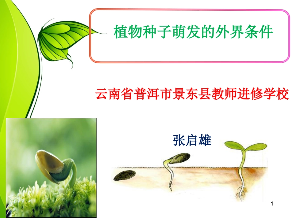 探究植物种子萌发的外界条件_第1页
