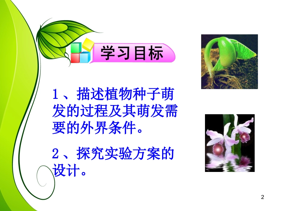 探究植物种子萌发的外界条件_第2页
