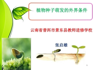 探究植物种子萌发的外界条件