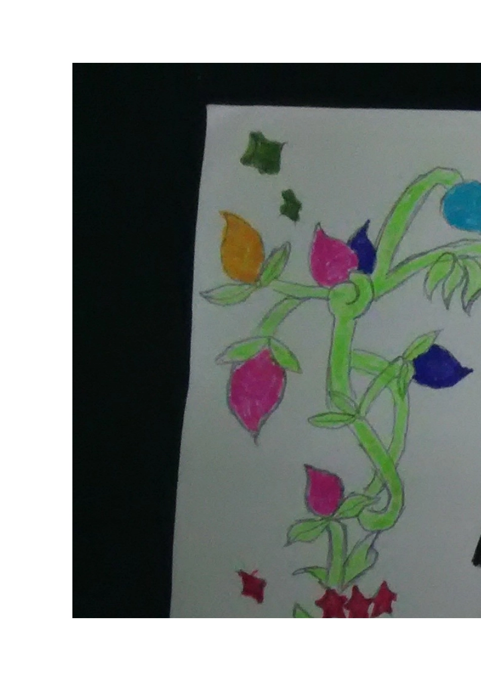一年级数学小报_第1页