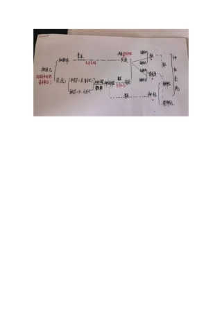 神经系统知识树