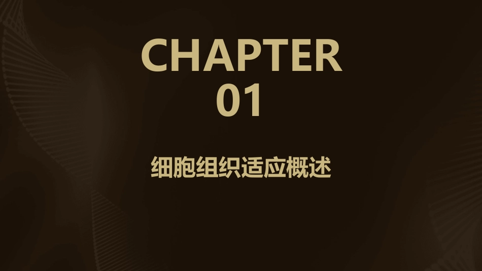 精编版细胞组织的适应和课件_第3页