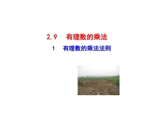 【同步教学课件】2014版七年级数学上册（华师大版）：：291有理数的乘法法则