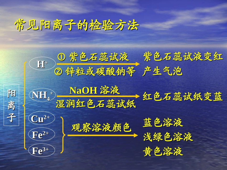 专题复习1：物质的检验_第2页