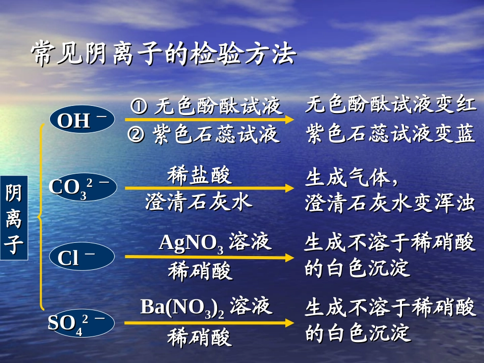 专题复习1：物质的检验_第3页