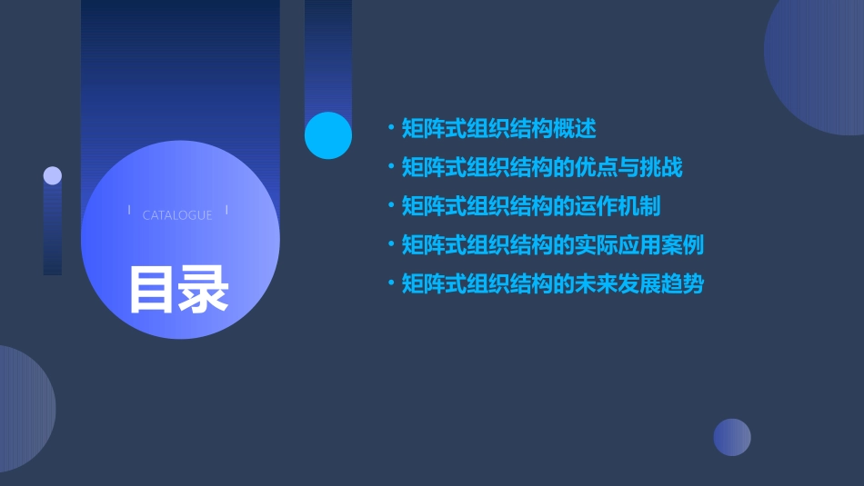 矩阵式组织结构通用课件_第2页
