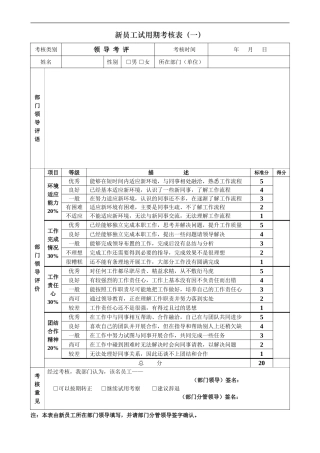 新员工试用期考核表3