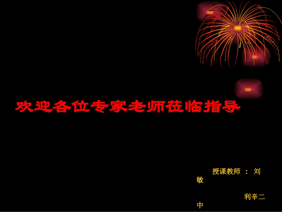 欢迎各位专家老师_第1页