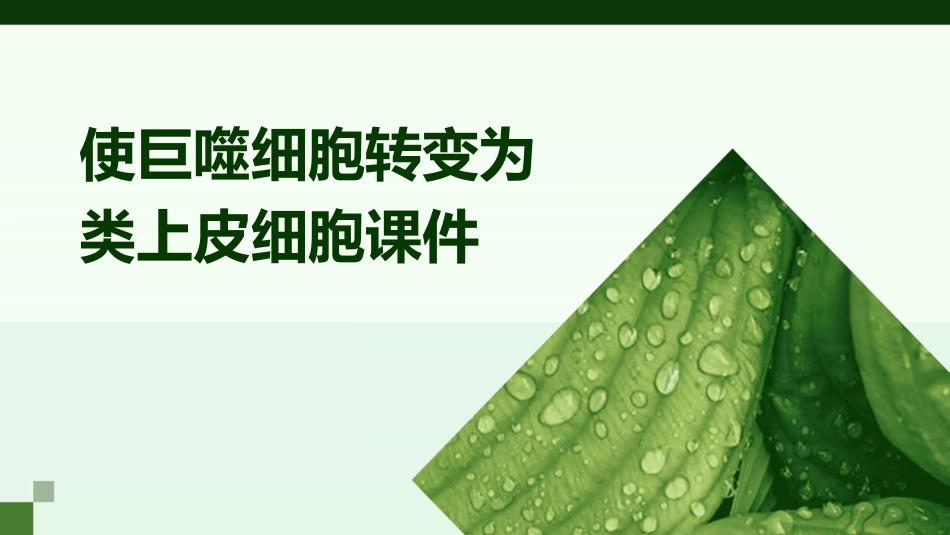 使巨噬细胞转变为类上皮细胞课件_第1页