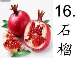 石榴课件陈进
