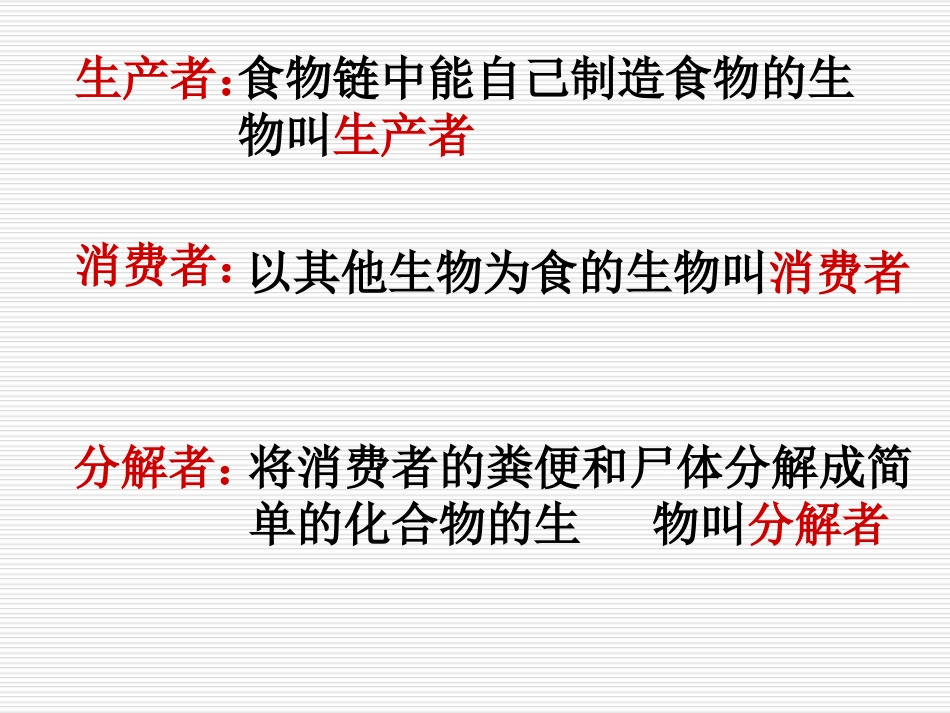 重工四校孙婷《有趣的食物链》PPT_第3页