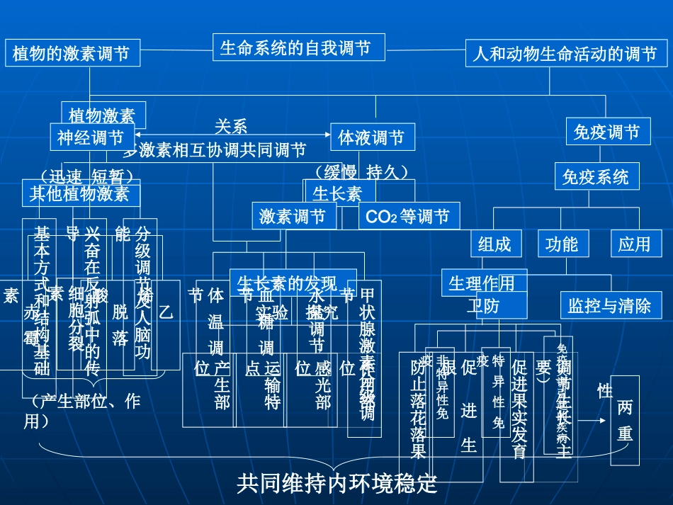 生命活动的调节稿_第3页