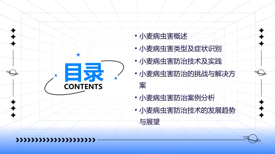 小麦病虫害防治技术课件_第2页