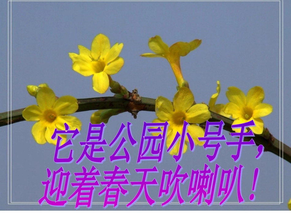 小班语言：儿歌《迎春花》PPT_第3页