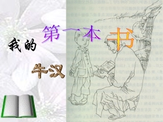我的第一本书PPT课件