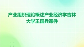 产业组织理论概述产业经济学吉林大学王国兵课件