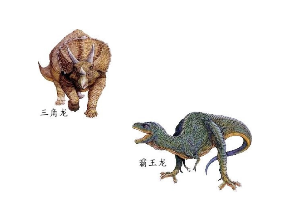 《恐龙的灭绝》专递课堂_第3页